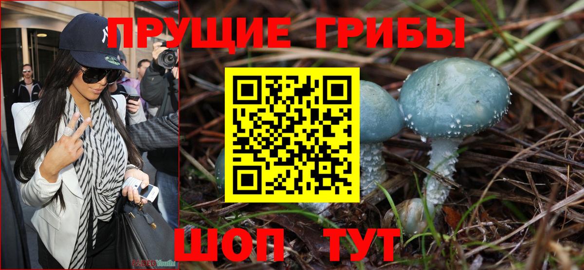 Псилоцибиновые грибы мицелий  Вход с VPN  Ликино-Дулёво  как найти наркотики  Псилоцибиновые грибы прущие грибы 